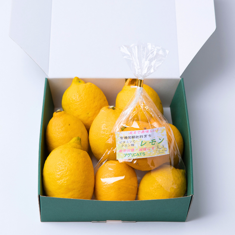 季節限定】農家レストランまねき猫 農薬不使用 有機肥料栽培レモン 1kg